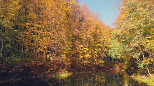 Lake in Autumn Forest