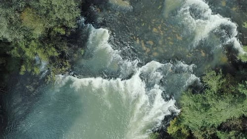Close-up shot of mountain river with rapids surrounded by thick forest.