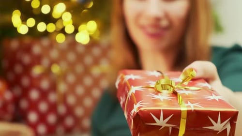 Woman in a Green Dress Gives a Gift