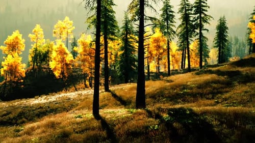 Vibrant Autumn Forest Landscape with Colorful Trees and Sunlight