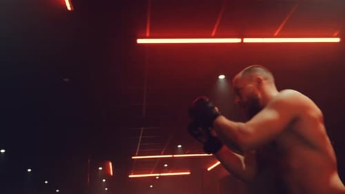 Fight Training