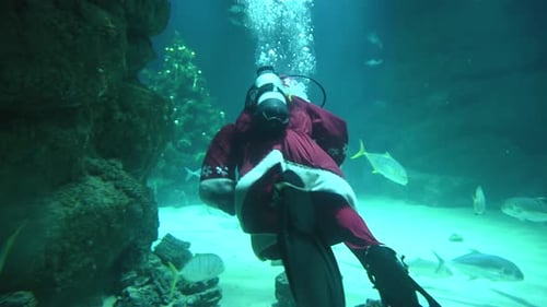 Underwater Santa Claus Scuba Diving in Aquarium