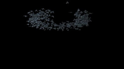 Dynamic Swarm of Flying Bats Animation