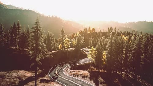 A Serene and Scenic Road Winding Through a Beautiful Forest During Sunset