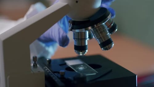 Adjusting Microscope in Laboratory Close Up