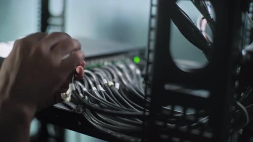 Close Up of System Administrator Connecting Cables with Server Rack