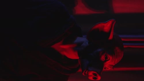 Vertical Video of Man with Killer Pig Mask Slowly Turning Head