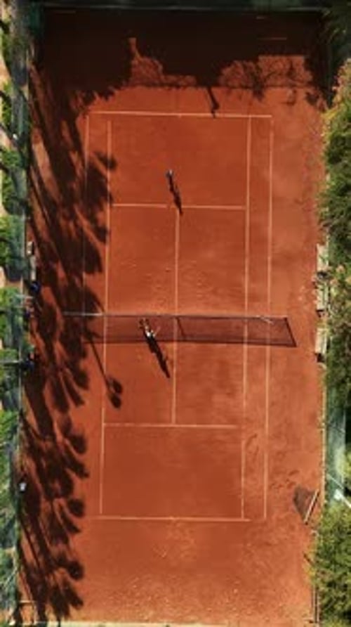 Vertical Video Tennis Retreat Aerial Perspective of PalmEncircled Court in Serene Environment