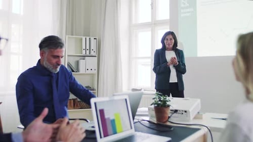 A Businesswoman Giving a Presentation to Colleagues in a Modern Office