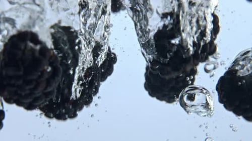 Closeup Bramble Bubbling Inside Liquid with Drops. Ripe Berries Falling Into Sparkling