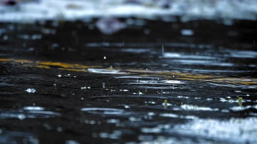 Regen