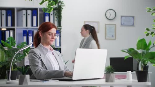 Ambiance de travail Jeunes femmes employées d'une entreprise écologique travaillant sur un ordinateur portable au bureau avec