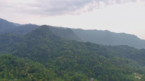 Aerial view of slightly foggy morning in tropical rain forest and hills