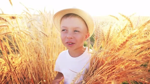 Baby Boy Stands in Straw Hat in Field Against Background of Harvest of Golden Wheat Spikelets and