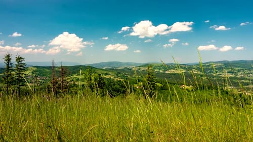 Scenic Rolling Hills With a Blue Sky