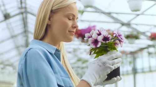Beautiful Female Gardner Smells Flowers in a Pot. She Happily Works with Flowers in a Sunny Industr