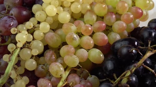 Fresh bunches of grapes of different varieties rotate as a background. Grape close up, concept