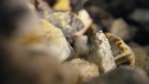 Partikel schwimmen unter Wasser