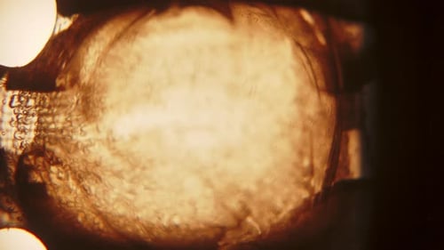 Abstract Warm Texture and Light