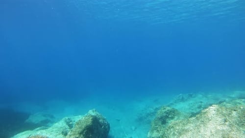 Rays Of Sunlight Beneath Sea Surface With Clear Blue Water. underwater