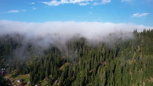 Wolken rollen über Fichtenwald