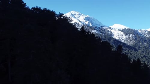 Snowy mountain reveal from trees aerial 4k