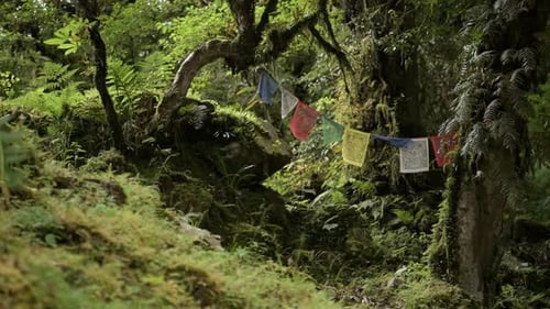 Buddhist Prayer Flags in Forest Nature in Nepal Mountains, Colourful Tibetan Buddhist Prayer Flags i
