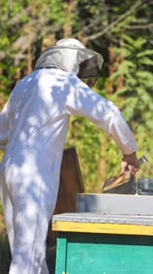 Beekeeper Inspecting Beehive in Rural Setting