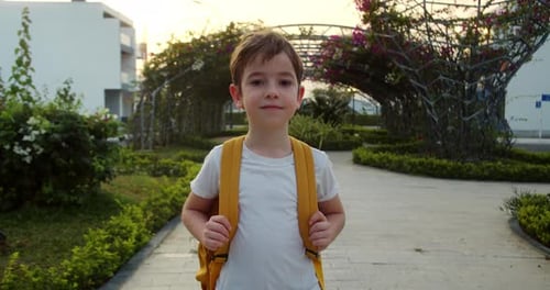 Portrait Beautiful of a Happy Cute School Boy a Smiling School Boy a Little Boy with a Backpack