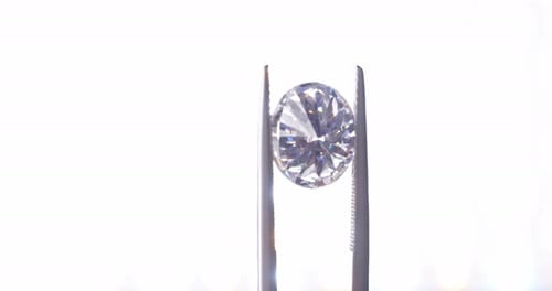 Oval Cut Diamond Held by Metal Tweezers