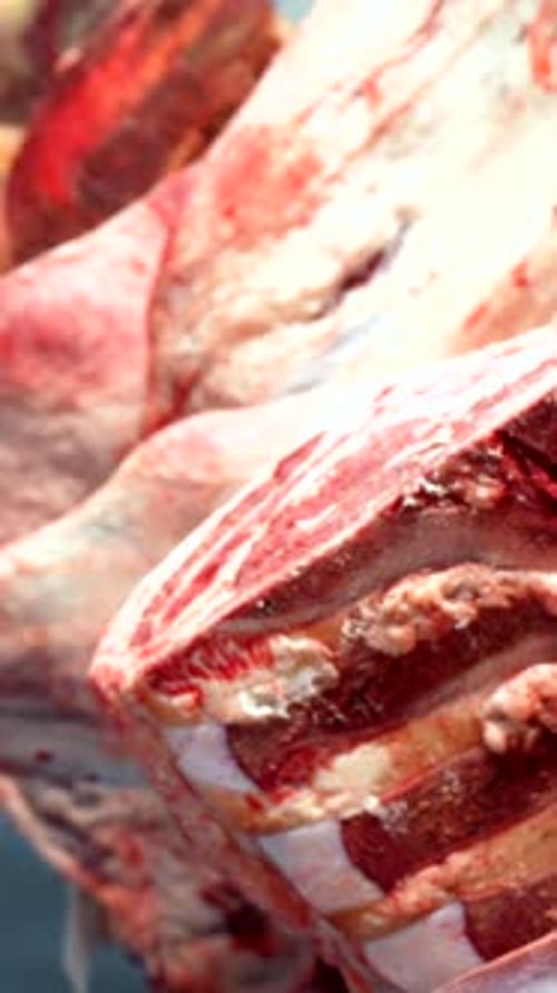 Close Up of Hanging Raw Red Meat Carcasses