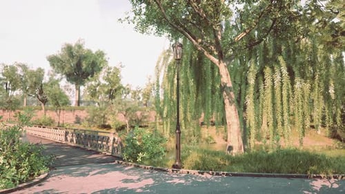 A Peaceful Park Setting with Lush Greenery and a Serene Pathway in Sunlight