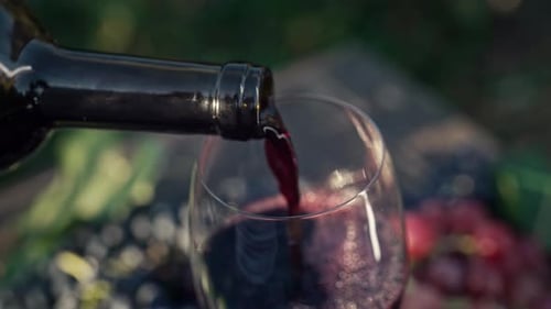 Stunning View of Pouring White Wine Into Glass Goblet with Fresh Grape Bunch Background Sun Light
