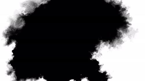 Ink Brush Blot Splat Fluid Art Overlay Alpha Matte Composition Spreading Brush Stroke Ink Splatters