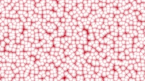 Animated Abstract Red and White Cellular Pattern