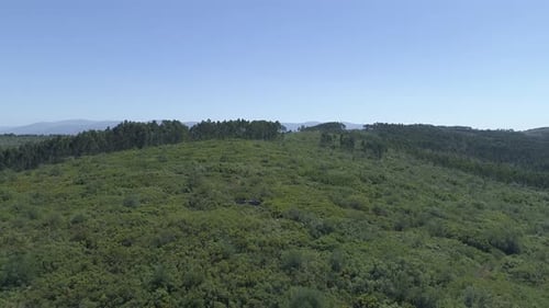 Incredible green mountain ranges in sunlight. Filmed in 4k, drone video.