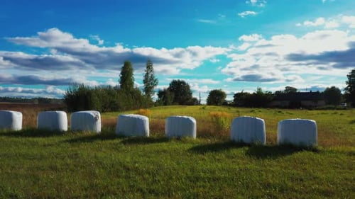 Reihe von Siloballen auf grünem Gras an einem heißen Sommertag mit blauem Himmel und Cumuluswolken