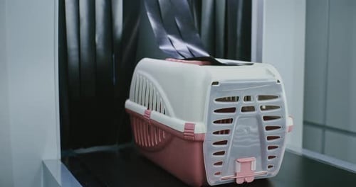 Airport Security X-Ray Machine Scanning Luggage