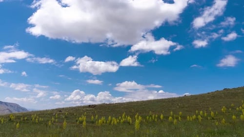 Timelapse Cloudy Landscape