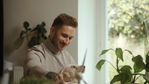 Young businessman stroking his dog while working in a modern green office