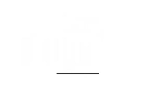 Icône linéaire de bagages animée