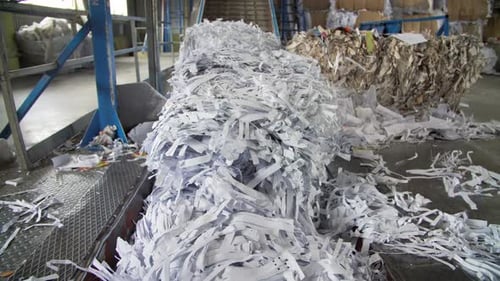Waste Paper Recycling Mill