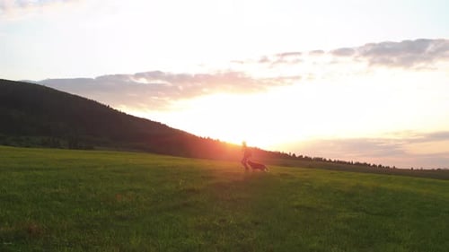 Person Walks Dog in Golden Sunset Field