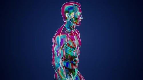 Rotating Futuristic Glitch Male Body Anatomy Scan
