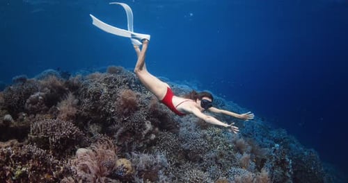 Amazing Corals and Beautiful Woman Freediver Glides Underwater in Blue Ocean Freediving in Raja