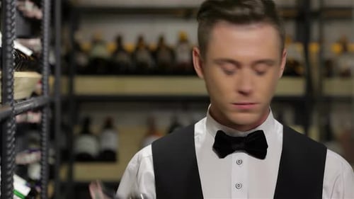 Man Inspecting Wine Bottles in Wine Cellar
