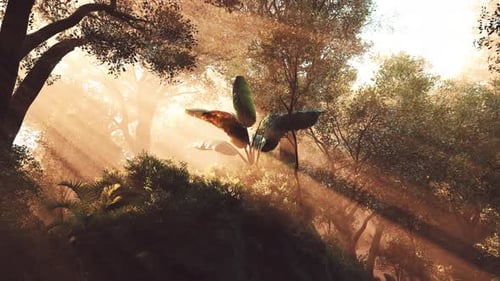 Soft Sunlight Filters Through Trees in a Tranquil Forest Setting