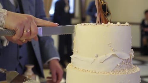 Newlyweds Cutting Elegant Wedding Cake