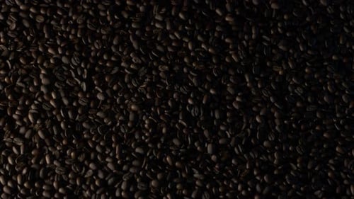 Close Up of Roasted Coffee Beans