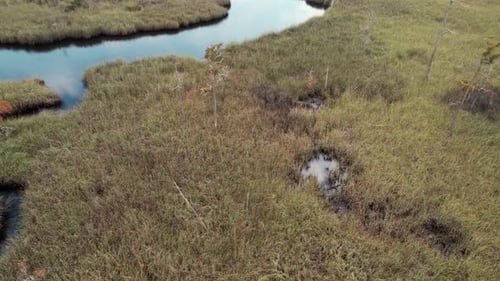 Aerial flight over thick dense grass marshlands and an open creek running through it